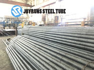DIN17175 Seamless Precision Steel Tube 13CrMo44 Seamless Heat Exchanger Tubes